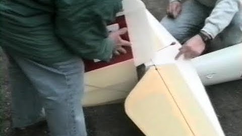 Arnold Hoffman lands his Minimoa