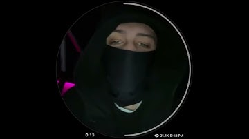 Шайни - Untitled (Snippet 16.12.2025)