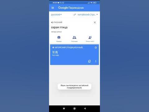 Серая птица на китайском 😅 - YouTube