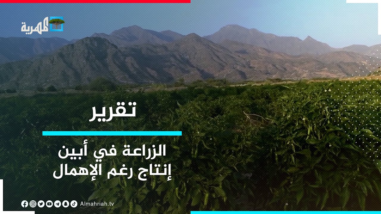 أبين.. الغطاء الأخضر والسلة الزراعية إنتاج رغم الإهمال