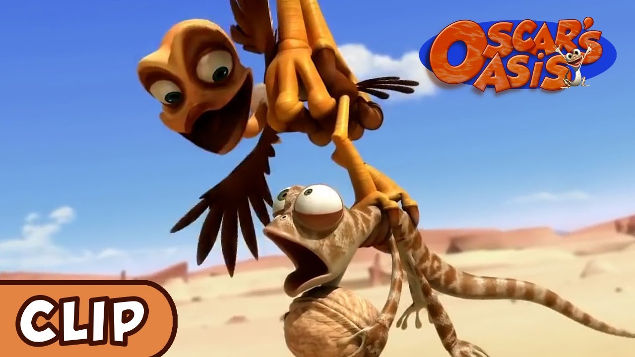 StarTimes KIDS - # Oscar's Oasis# From January 14 ,Monday to Friday,16:00  CAT 😍😍😍😍😍😍😍😍😍😍😍😍😍😍😍 The little lizard Oscar is looking for  water and food in the desert every day. His neighbors hyenas