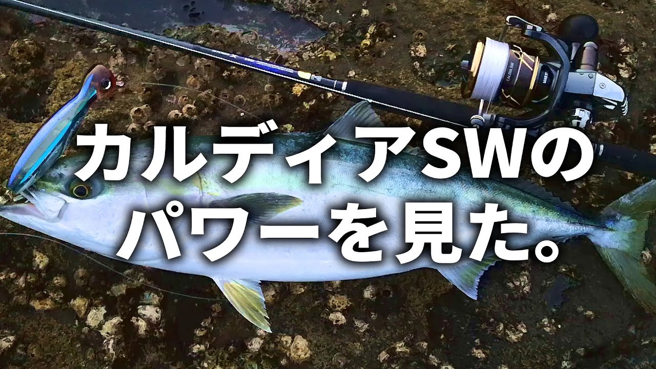 カルディアSWで仕留めたガチ磯の鰤。2022年最新超コスパSWリールの馬力を見よ。