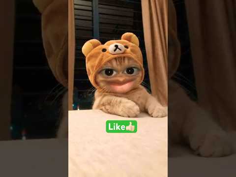 معنى اسم رانيا يالهوي ياخرابي