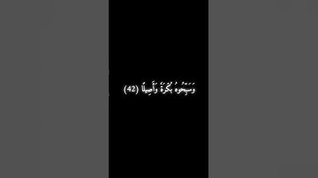 سورة الأحزاب 41 - 42 - محمد صديق المنشاوي .