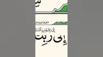 طارق النمر مشاهد سورة القيامة وقفة تدبرية Islamicscripture اسلاميات القرآن Shorts Reels Like 