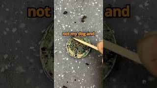 Clean the whole coin with ( interesting story) #shorts #satisfying #coincleaning