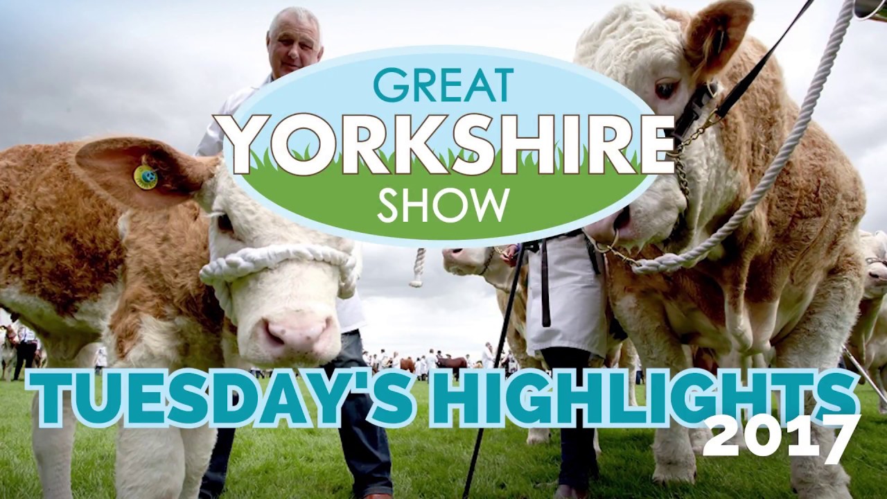 tuesday-s-highlights-of-the-great-yorkshire-show-2017-youtube