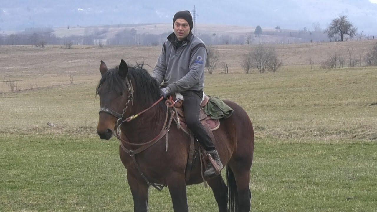 - SERGEJ JAHAO DIVLJEG UKROĆENOG KONJA PO PODBRĐANSKIM LIVADAMA