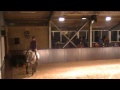 Cedric hengstenshow 2011 reinie tewis hester klompmaker