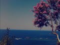 أروع اغنية اسمع وتفكيري هذي من عند صديق لنموشي