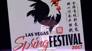 Cny In The Desert 2017 The Amazing Acrobats
