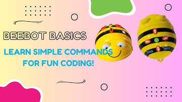Beebot Basics: Learn Simple Commands for Fun Coding!