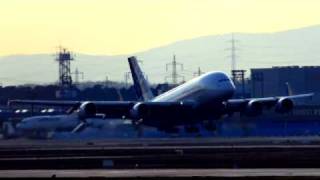 Your Spirit Is Shining