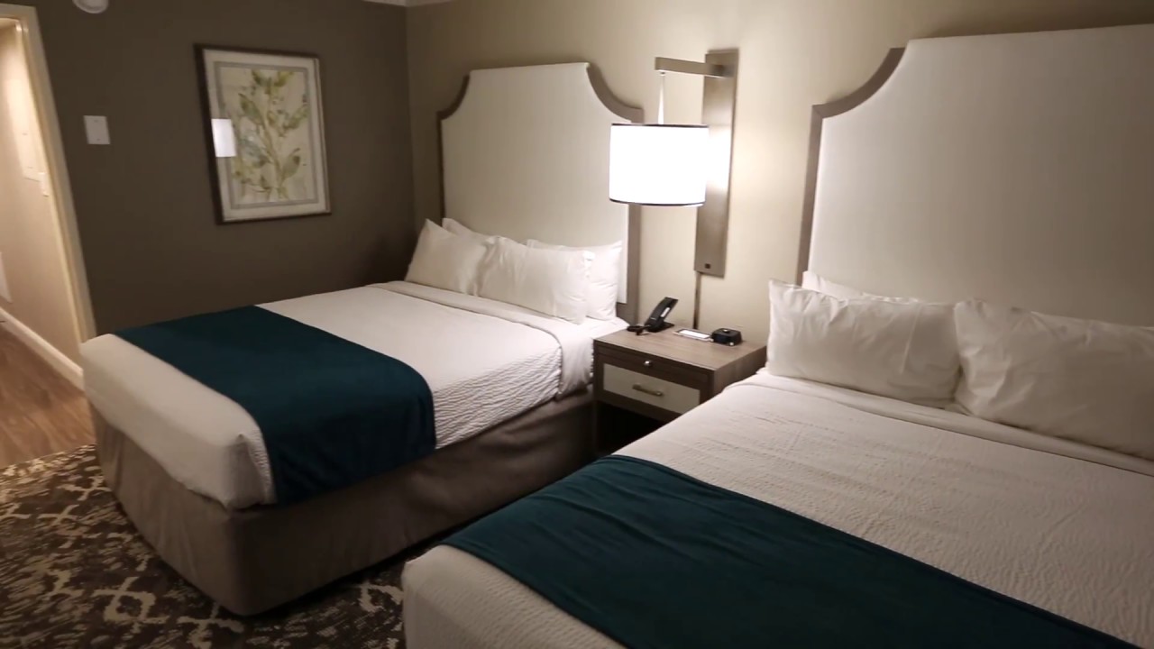 Palms Ocean View Suite (P) at The Breakers Resort YouTube