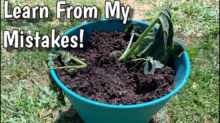 6 Garden Mistakes I Wish I Hadn’t Made