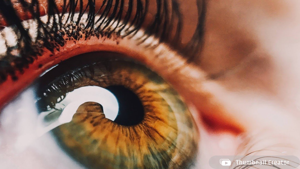 property dealer Abdul Sattar Bhatt contact number 7006 576493 is video ko Jyada Se Jyada share