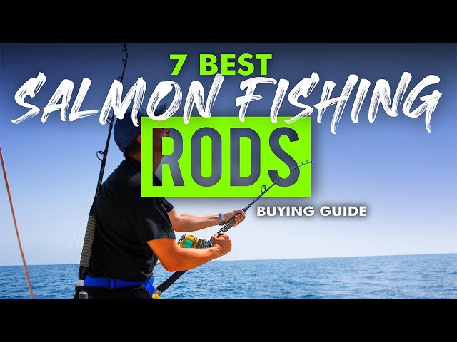 BEST SALMON FISHING RODS: 7 Salmon Fishing Rods (2023 Buying Guide) 