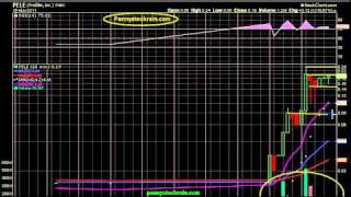 Details PELE Guide