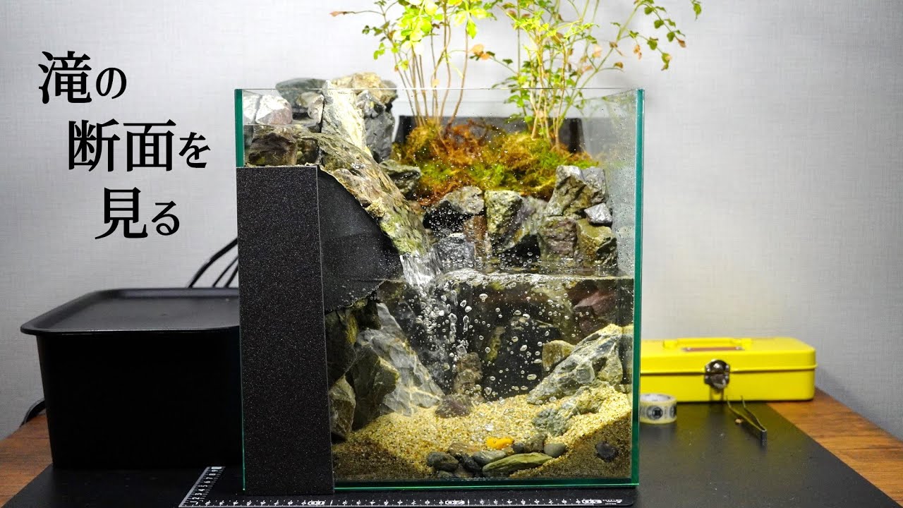 WATERFALL PALUDARIUM TUTORIAL : You Can See the Cross Section of the Fall | HowTo, StepByStep WATERFALL PALUDARIUM TUTORIAL : You Can See the Cross Section of the Fall | HowTo, StepByStep