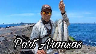 Port Aransas Jetties Fishing