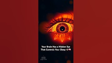 Your Brain Has a Hidden Eye That Controls Your Sleep 👁️🧠