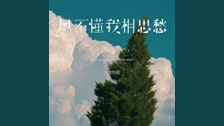 风不懂我相思愁 (DJ小行版)