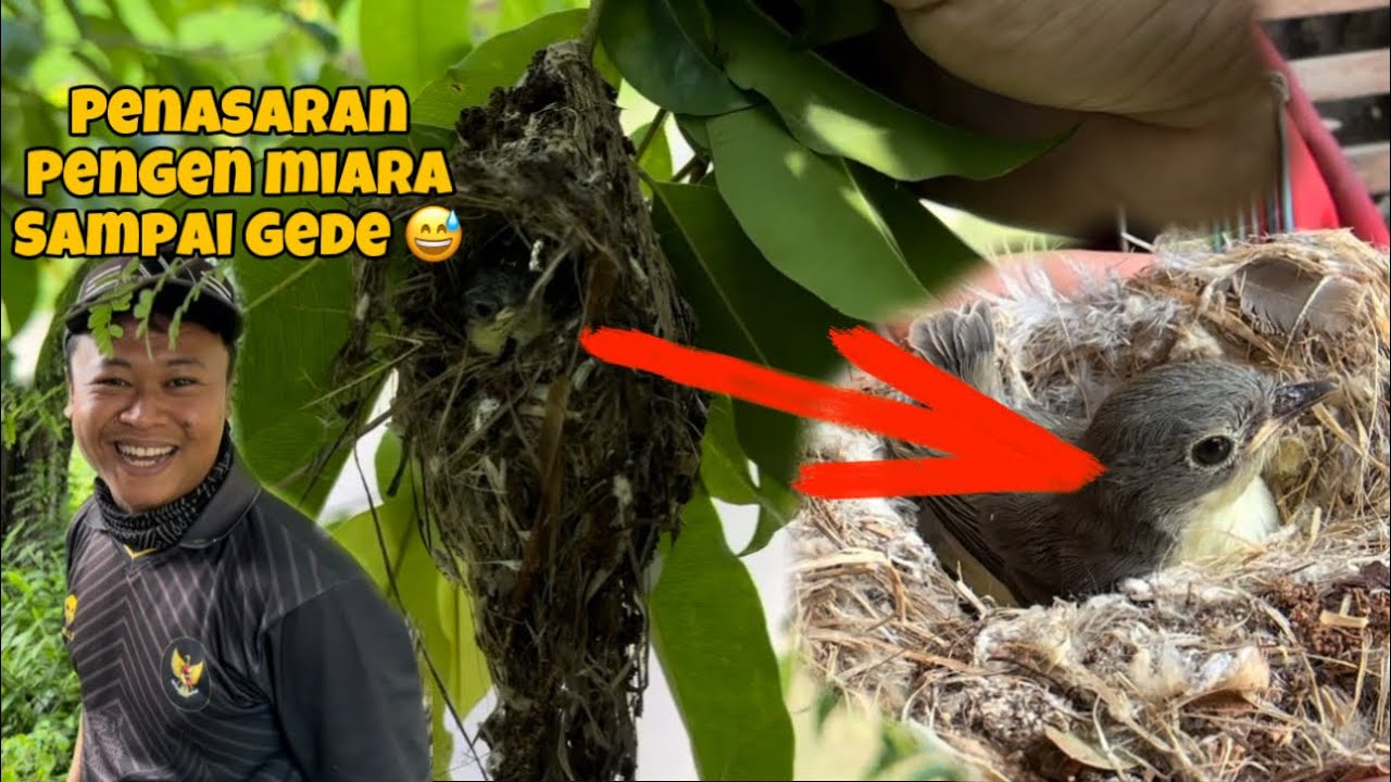 Karena penasaran, Sudah terlanjur tak ambil, semoga kali ini berhasil 😁