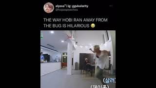 Hobi run away from bug 
