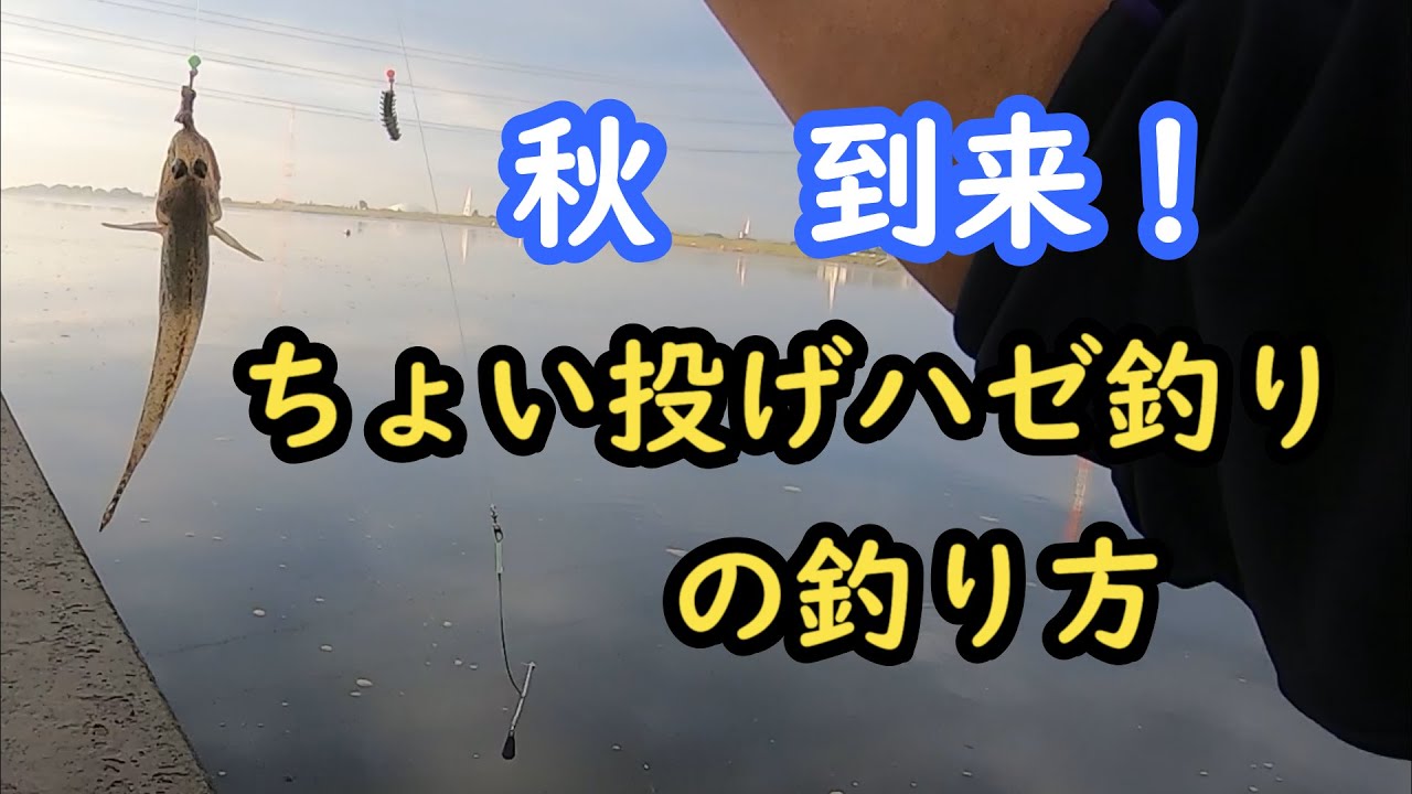 ちょい投げハゼ釣り の釣り方 Youtube