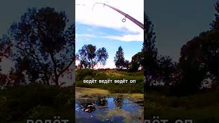 СЕКРЕТ УДАЧНОЙ РЫБАЛКИ | НЕОЖИДАННАЯ ПОКЛЕВКА | КАРАСЬ 🎣👉 #fishing #рыбалка #рыбак #карась #река