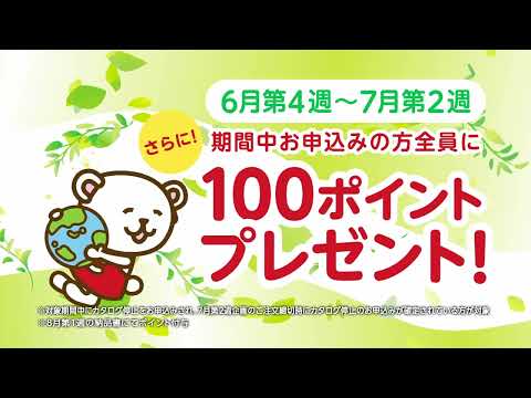 トドックカタログストップ お申込受付中！～期間中