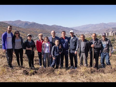 Video: Կանաչ թխկու