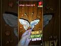 “💸 Money Butterfly Gift 🦋“Best DIY Surprise 🎁” #viral #diy #eid #birthday #shorts #short #fyp #gifts