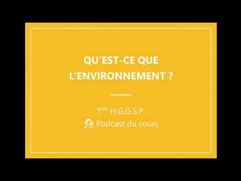 Vidéo: Qu'est-ce Que L'environnement Social