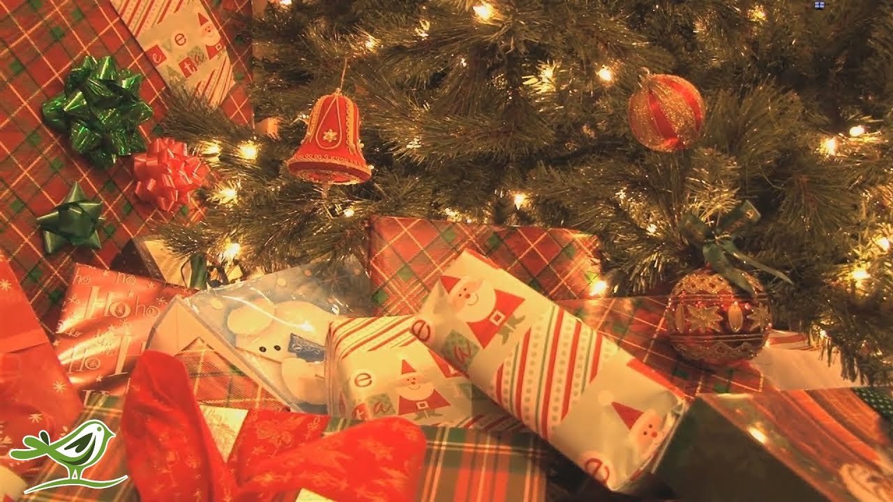 Instrumental Christmas Music 24/7 Live: Traditional Christmas Songs | Piano &amp; Orchestra - YouTube