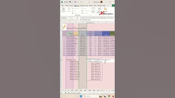 Filter Excel to only show certain columns for large dataset - Excel Tips and Tricks