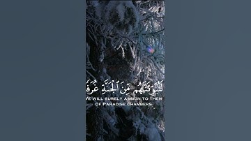 سوره العنكبوت-القارئ عبد الرحمن مسعد