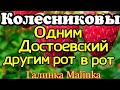 Колесниковы /Обзор новых ВЛОГОВ /Одним Достоевский, другим рот в рот //