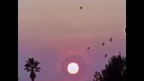 View Of The Sun Exploding From Earth || Best Videos Of YT || #meme