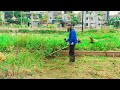 Clean up & Lawn Care /SHOCK CONVERSION Overgrown park lawn - Cleaning up the/PARK GRASS REMOVAL