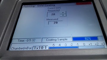 GOLD COATING BEFORE SEM