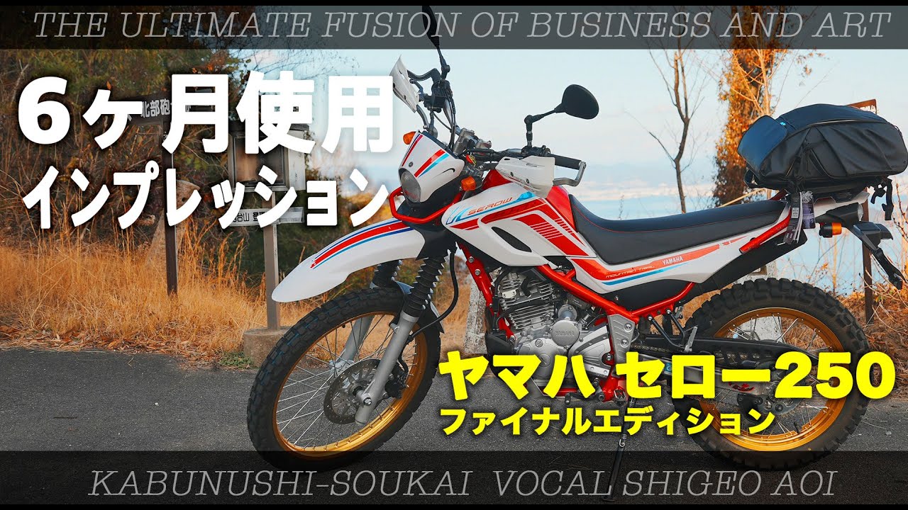 2022年最新版】セロー250ファイナルエディション 半年乗った