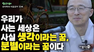 우리가 사는 세상은 사실 생각이라는 꿈, 분별이라는 꿈이다 | 법상스님의 행복한 마음공부 선어록과 마음공부 33회(17-1) 인생상담 행복명상 말씀 깨달음