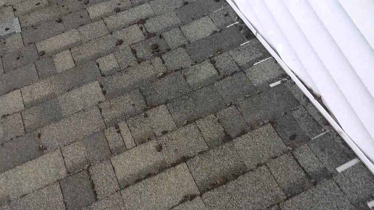 How To Safely Remove Moss From Your Roof YouTube