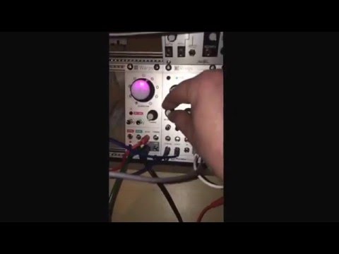Mutable instruments - Rings (hidden Chord mode) Eurorack Modular Synth