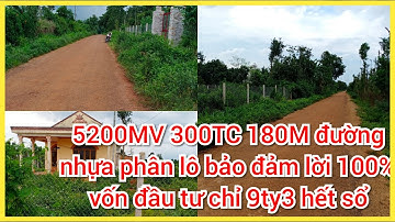 Bán đất nền bà Rịa vũng tàu - chủ kẹt cứng cần bán gấp lô đất 2MT 300tc phân lô bao lời giá rẻ nhất