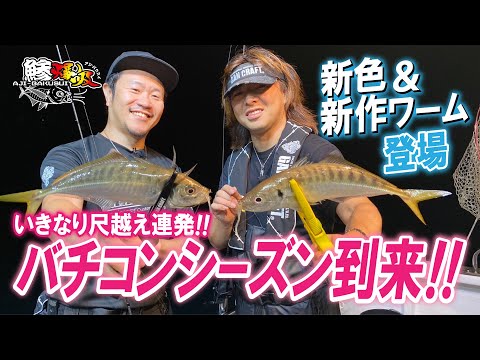 【巨大アジ】やってみたくなるアジの釣り方【アジング】