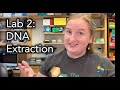 The wolbachia project lab 2 dna extraction