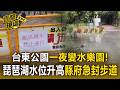 台東公園一夜變「水樂園」！琵琶湖水位升高險淹橋 台東縣府急封步道防遊客誤闖【直擊現場】