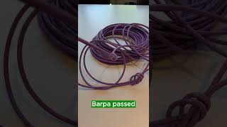 Hoe sterk is een netwerkkabel écht? | Barpa Cat6A Extreme Test (vs standaard kabels)